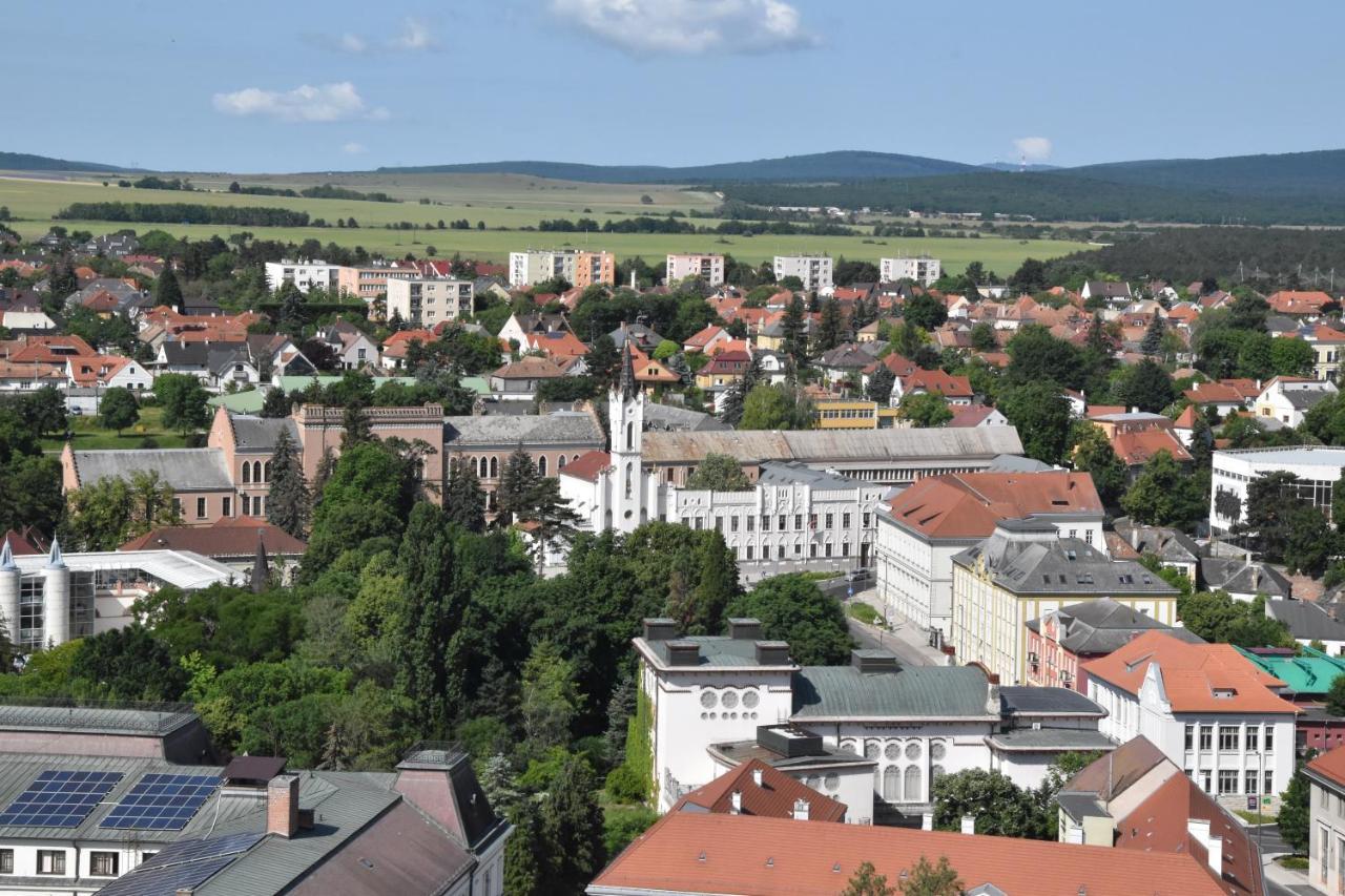 Panorama View Family Apartment Veszprém Εξωτερικό φωτογραφία
