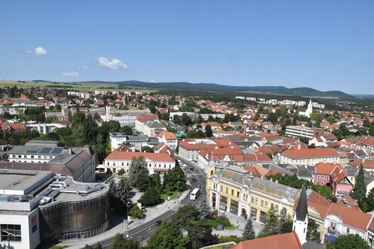 Panorama View Family Apartment Veszprém Εξωτερικό φωτογραφία